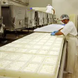 Máquina de fazer queijos pequenos Mozzarella Máquina de fazer queijos Processamento de laticínios