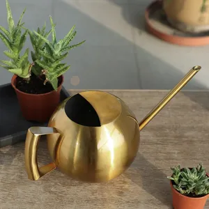 Arrosoir en acier inoxydable de 1L, petit arrosoir de jardinage avec poignée pour arroser les plantes, outil de jardinage pour fleurs - Product Image 3