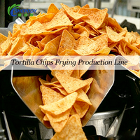 Chaîne de production de chips tortillas soufflées Shepody 300kg/h 500kg/h, machine/ligne de friture pour chips de pommes de terre, riz croustillant et cercles de tomates
