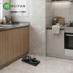 Piège à <span class=keywords><strong>souris</strong></span> à ressort étanche MEIYAN pour le contrôle des rats - Utilisation extérieure et portable Fabriqué au Shandong - Product Image 2