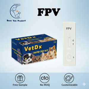 Kit de Prueba Rápida Veterinaria Canina de Bajo Precio Sin Cantidad Mínima de Pedido para Uso Animal: Prueba Combinada para Ehrlichia/Anaplasma/Leishmania/Parasitarios Orales - Product Image 6
