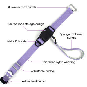 <span class=keywords><strong>Collar</strong></span> de entrenamiento <span class=keywords><strong>flexible</strong></span>, juego de correa, <span class=keywords><strong>Collar</strong></span> para mascotas, esponja, mango grueso, correa para perros para caminar todos los días - Product Image 6