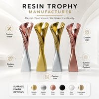 Trophées en résine personnalisés avec motifs gravés pour les compétitions et les récompenses événementielles