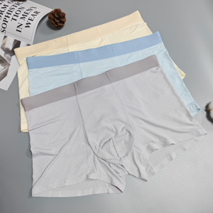 High Quality <b>Men's</b> Underwear Boxer Shorts Custom Logo Fly <b>Pouch</b> Spandex/Nylon Size Inseam Quick Dry Breathable 4XL 6XL - Product Image 4