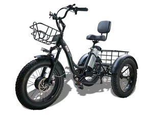 Convenient Travel Electric Tricycle Light Body Ride And <b>Transport</b> Trike - Product Image 6