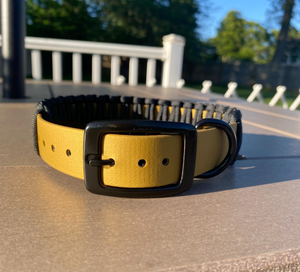 Collar de Perro Personalizado Ajustable de PVC Plástico Bioth Metálico Biothan con Cordón Negro y Herrajes de Hebilla Negra - Product Image 2