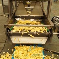 Volledig automatische productielijn voor halfgebakken aardappelchips, 100-2000 kg/uur