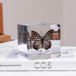 Regali personalizzati creativi incorporati in acrilico Lucite bottiglia di montatura fermacarte articoli Souvenir decorazione per la casa per bambini Educa - Product Image 2