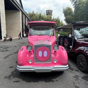 Meilleur <span class=keywords><strong>prix</strong></span> exploité classique le moins cher <span class=keywords><strong>prix</strong></span> rétro voiture ancienne meilleure navette électrique de bonne qualité - Product Image 3