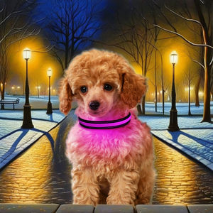 Collar de perro Lynpet Multicolor LED con luz, recargable, intermitente, resplandor, nailon sólido oscuro, Animal reflectante, Collar personalizado para mascotas - Product Image 2