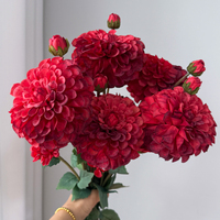 Susunan Bunga Dahlia Buatan Realistis Warna Merah Tua dari Sutra, Gaya Bohemian, Ringan, Tahan Air, Dekorasi Rumah, Pernikahan