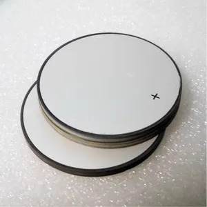 ISSR PZT 5a/5h Piezo Electronic Ceramic Disc Plates Material Substance D33 40khz 113khz 1 Mhz 3Mhz Ultrasonic Piezoelectric Disk