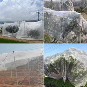 <span class=keywords><strong>Filet</strong></span> <span class=keywords><strong>de</strong></span> <span class=keywords><strong>protection</strong></span> contre les insectes et les oiseaux pour les arbres <span class=keywords><strong>de</strong></span> goyave, <span class=keywords><strong>de</strong></span> <span class=keywords><strong>cerisier</strong></span>, <span class=keywords><strong>de</strong></span> bayberry et les légumes - <span class=keywords><strong>Filet</strong></span> anti-moustiques et anti-mouches fabriqué en Chine - Product Image 3
