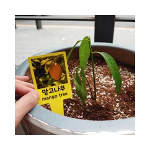 Korean Brand Non-Adhesive Label Paper Pick Tag Plant Name Tag Regular Printer Printable For Wholesale