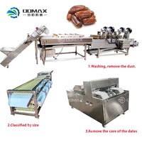 Automatische complete verwerkingslijn voor dadels: wassen, ontpitten, pulperen, productielijn voor dadelpasta/siroop