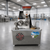 Nouvelle machine à extruder les nouilles de pommes de terre pour le mélange de pâte et la fabrication de spaghetti, machine à pâtes