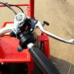 Nouveau modèle 2026 : Tricycle électrique <span class=keywords><strong>mini</strong></span>-cargo populaire en Europe pour chiens et enfants - Product Image 5