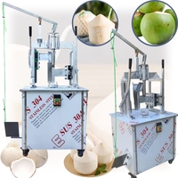 Machine à peler les noix de coco commerciale à haut rendement, machine à peler les noix de coco en forme de diamant
