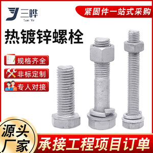 San Ye Hot-dip <b>Galvanized</b> Hex Bolt Grade 8.8 External <b>Screw</b> - Product Image 6