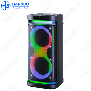 Haut-parleur de fête double 10 pouces Media100W haute puissance HS-TD01035 - Product Image 2