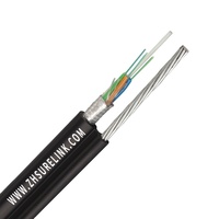 Kabel Serat Optik Flat Drop FTTH 2-12 Core G652D/G657a PBT Loose Tube FRP Central Strength Member PE Jacket GYFXTBY