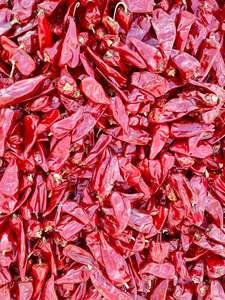 Chiles Rojos Secos Yidu Premium, Enteros, 5000 SHU, Pimiento Rojo de Pekín - Product Image 6