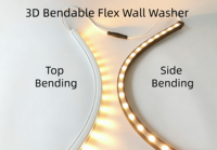 Lumière linéaire LED flexible pour extérieur, étanche IP67, pour lavage mural, éclairage souterrain, profil de jardin 3D, façade, projet, silicone néon