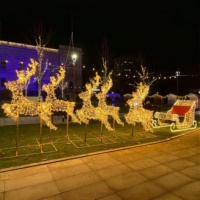 Décoration de Noël personnalisée pour l'extérieur, grand motif de cerf 3D, lumières LED, étanche IP65, nouveau design, cerf, élan, renne