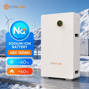 แบตเตอรี่โซเดียมไอออน Sunark OEM ODM 48V 160Ah 7.68kWh สำหรับงานเหมือง พลังงานแสงอาทิตย์ และการทำงานระยะไกล - Product Image 1