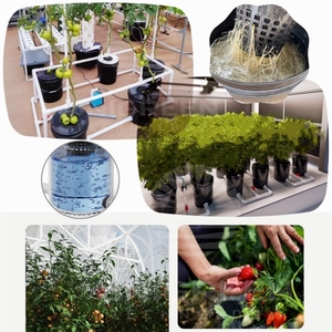 Dwc hệ thống 16L thiết kế mới rdwc thủy canh phát triển hệ thống Bộ dụng cụ hệ thống nước sâu 4.22 gallon 5 xô tuần hoàn thủy. DWC - Product Image 6