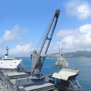 رافعة بحرية مخصصة 3 طن 5 طن 30 طن مركبة على ظهر السفينة مباشرة - Product Image 5