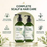 Shampoing Bio Quotidien pour la Croissance Capillaire OEM ODM Marque Privée – Huile d'Arbre à Thé & Menthe Romarin Naturelle pour la Prévention de la Chute des Cheveux