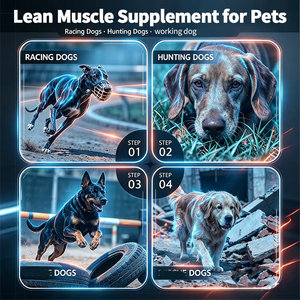 Suplemento Mayorista para Perros: BCAA, Glucosamina, L-Carnitina para Recuperación Muscular, Nutrición para Rendimiento <span class=keywords><strong>en</strong></span> Carreras y Trabajo K9, OEM - Product Image 3