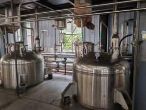 Grosir bubuk buah Loquat eribotra kualitas tinggi Harga Terbaik bubuk jus Loquat instan bubuk - Product Image 5