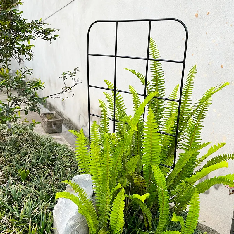 Bitki sabit tırmanma standı çiçek bahçe saksı bitki destek braketi kapalı Metal duvar kancası için askıları