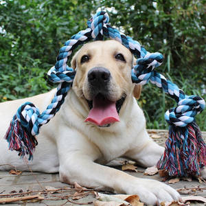 Interaktif köpek oyuncak büyük pamuk halat Tugger 5-Section büküm Chew oyuncak klasik Pet Molar eğlenceli düğümlü halat oyuncak büyük köpekler için - Product Image 2