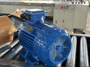 มอเตอร์เหนี่ยวนำทางทะเล 3 เฟส 3KW 4 1450 รอบ/นาที ประสิทธิภาพสูง 220V AC พร้อมตัวเลือกกำลังไฟ 1KW และ 15KW ลดราคาพิเศษ - Product Image 4