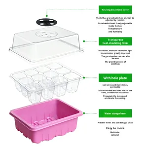 Nouvelle boîte à <span class=keywords><strong>semis</strong></span> colorée pour la maison avec trous respirants pour la culture essentielle des graines, outil de plantation pour balcon domestique - Product Image 3