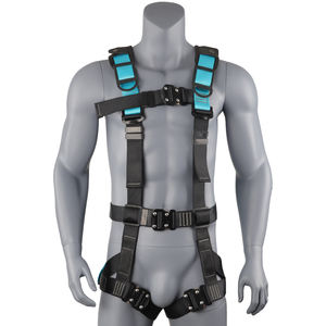 औद्योगिक सुरक्षा के पूरे शरीर में गिरावट, 5-पॉइंट पॉलिएस्टर 1500 किलो वजन कम - Product Image 2