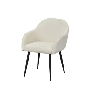 Fashion Modern Living Room Furniture Coach Lounge Chair White Recliner Accent Sofa Dark Chair