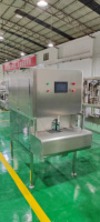 Commerciële Ananas Fruit Dunschiller Machine Automatische Fruit Pompoen Schilmachine Meloen Huid Dunschiller