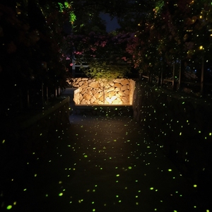 Proyector de Efecto Láser Luciérnaga para Iluminación de Paisajes Exteriores y Exhibiciones Decorativas de Jardín - Product Image 5