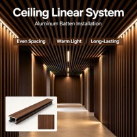 Baffle vertical en PVDF sur mesure, fabriqué en usine, pour hôtel, certifié ISO, SGS, CE