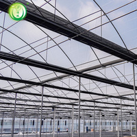 Serres agricoles Pe, serre multi-spans personnalisée pour la culture des bleuets et des fraises