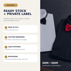 <span class=keywords><strong>Camisa</strong></span> de esmoquin para hombre con pliegues frontales, <span class=keywords><strong>cuello</strong></span> tipo ala, mezcla de viscosa de bambú elástica, manga larga, para boda formal, venta al por mayor OEM - Product Image 6