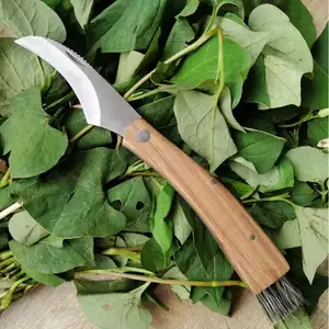 Lame droite en bois de rose, Mini pic Portable pour champignons avec brosse, couteaux de jardinage, couteau à champignons