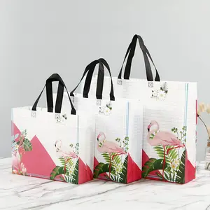तह शॉपिंग बैग कस्टम लोगो ट्रेंडी टोटे बैग 2023 सुंदर महिला हाथ बैग