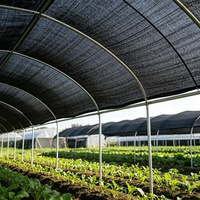 Zwarte HDPE verdikte, heavy-duty, vlak geweven, anti-UV, anti-verouderings, buitenlandbouw schaduwnet voor moestuin