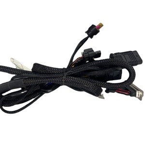 कस्टम ऑटोमोटिव वायर हार्नेस, मल्टी-पिन कॉपर कोर केबल असेंबली कनेक्टर ओएम के साथ - Product Image 1