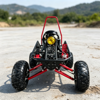 Quad utilitaire tout-terrain électrique 2000W 90KMH 60V 50Ah pour location commerciale, retour sur investissement élevé, personnalisation OEM, approvisionnement direct usine